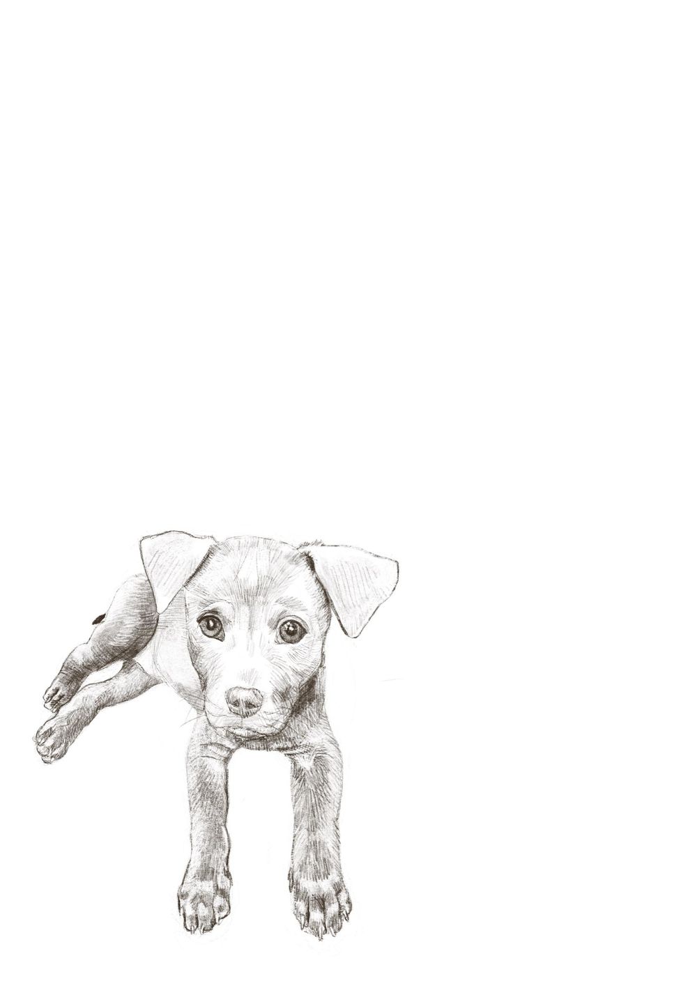 14 day challenge - image 6 - student project