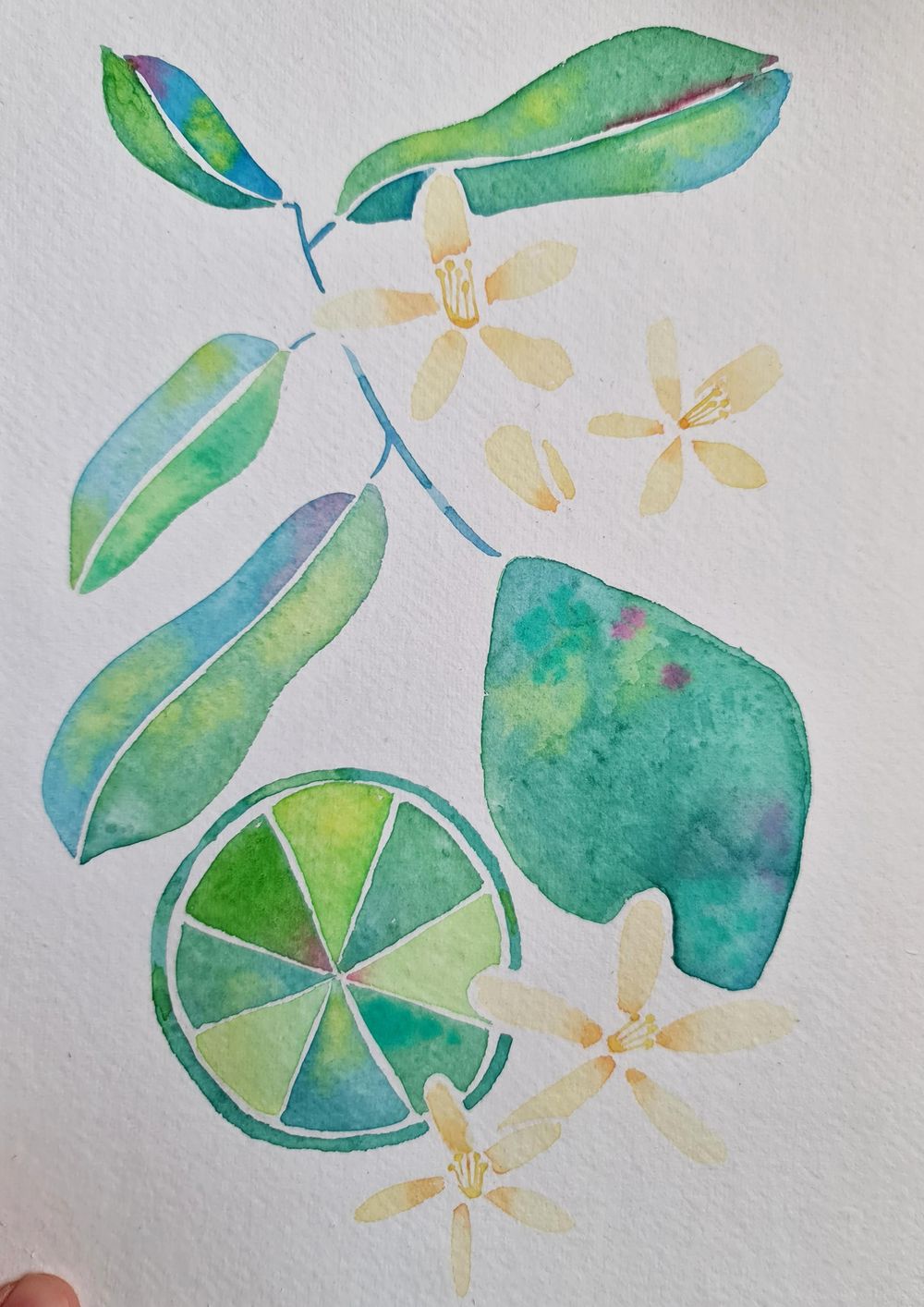 Watercolour fruit and flowers - image 2 - student project