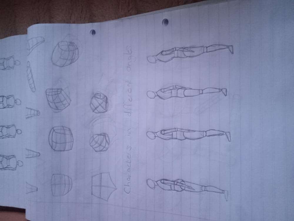 Anatomy basic - image 2 - student project
