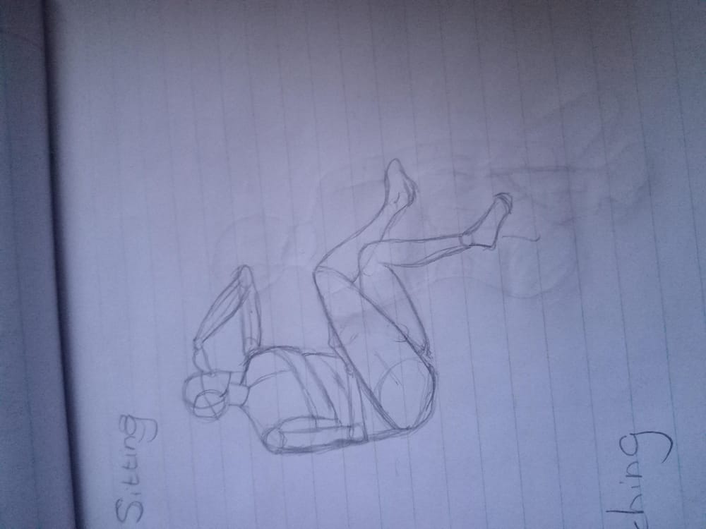 Anatomy basic - image 5 - student project