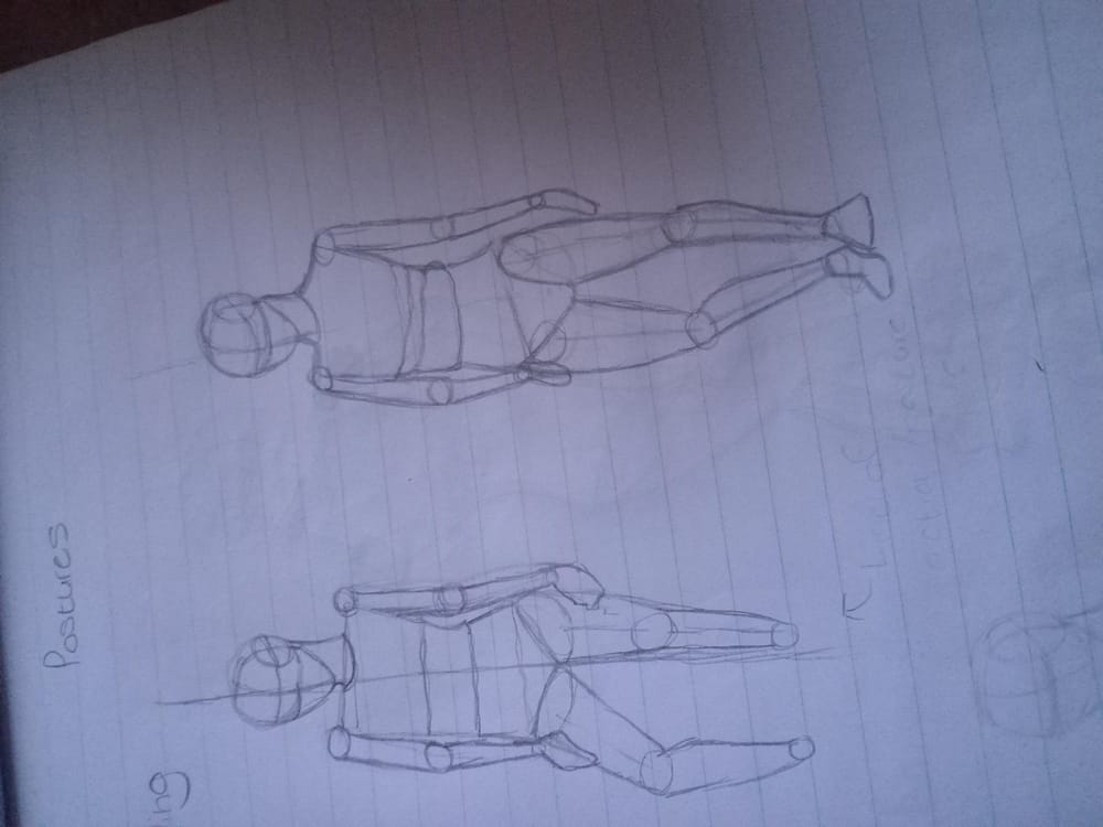 Anatomy basic - image 4 - student project
