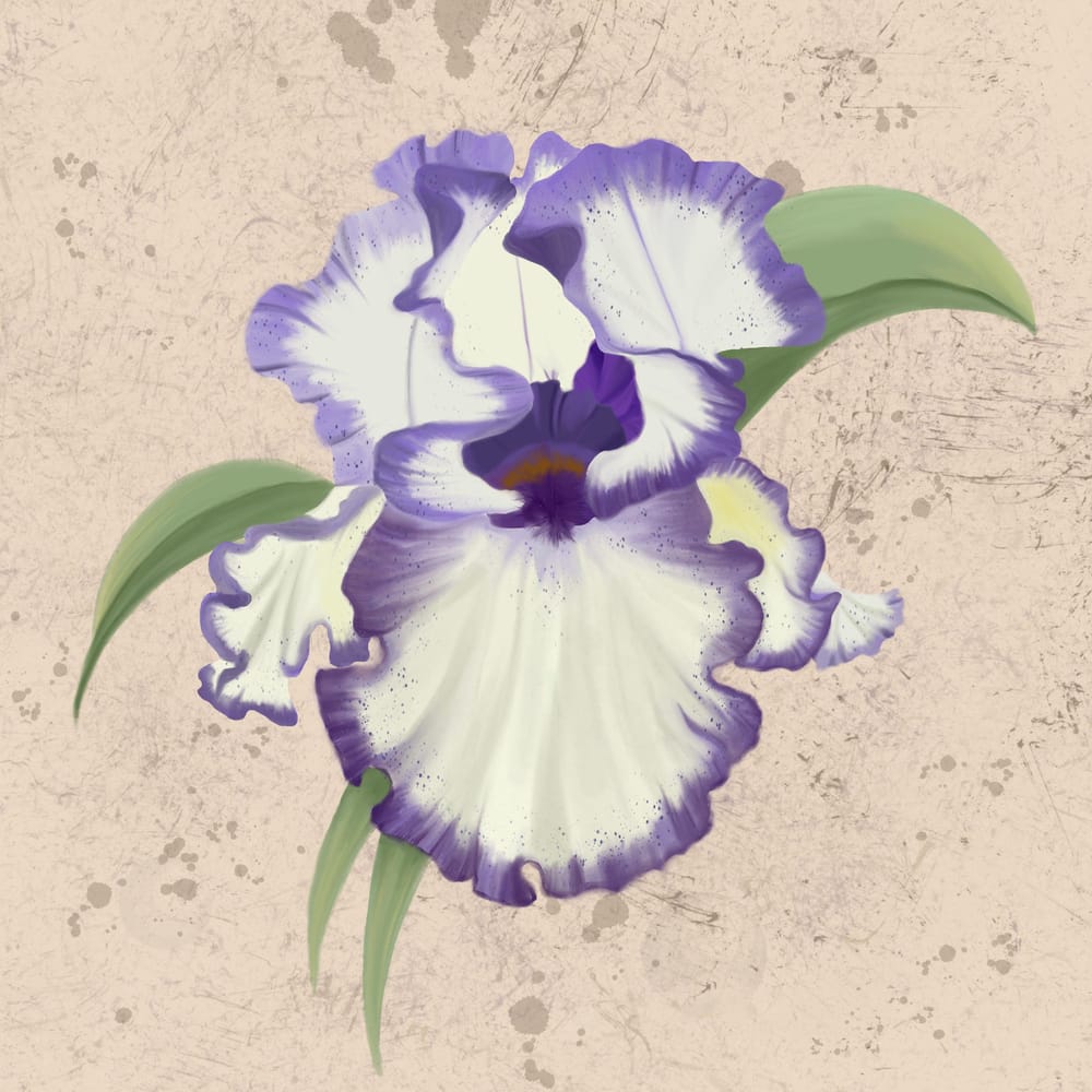 Flowers everywhere - image 5 - student project