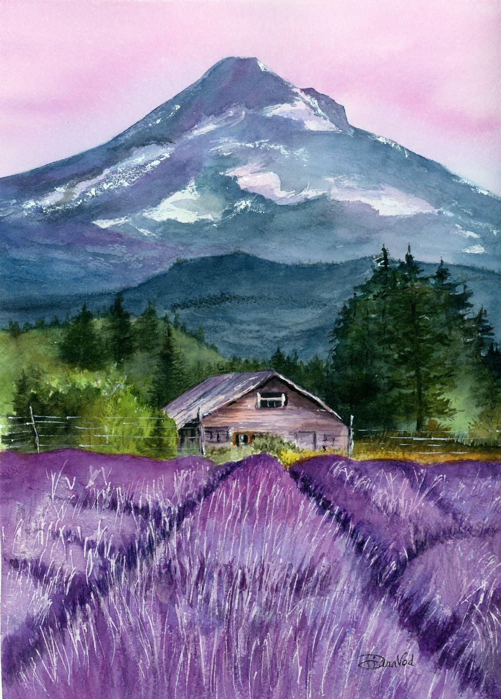 Lavender fields & the majestic Mt. Hood - image 1 - student project
