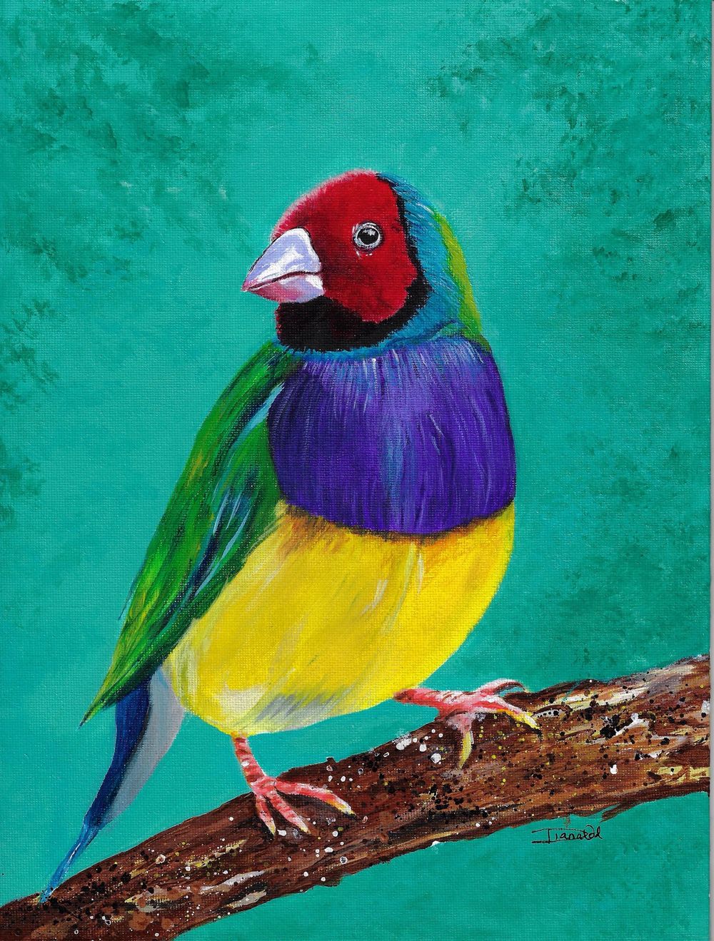 "A Colorful Flight Through Life" - image 2 - student project