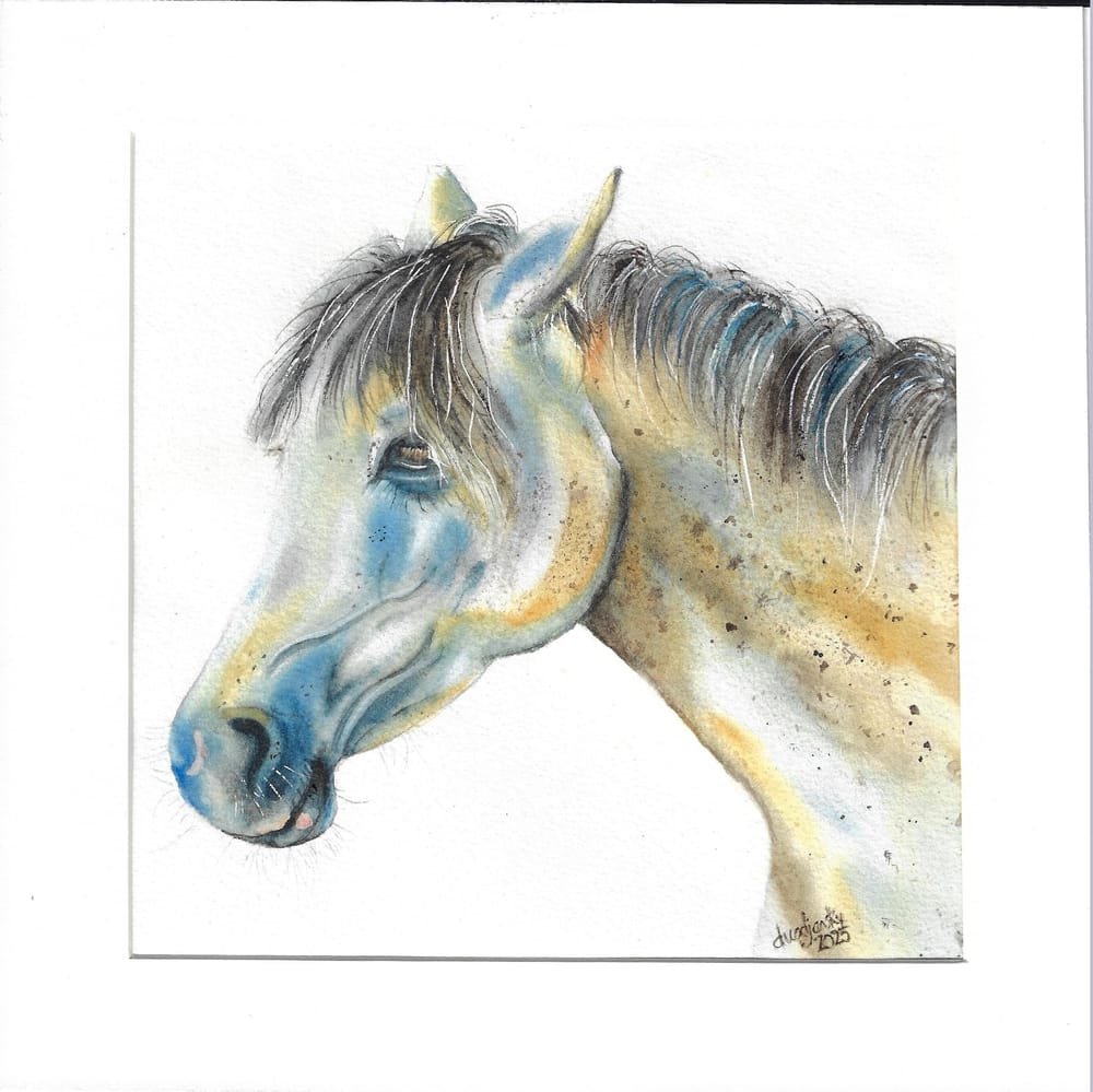 Colorful Horse - image 1 - student project