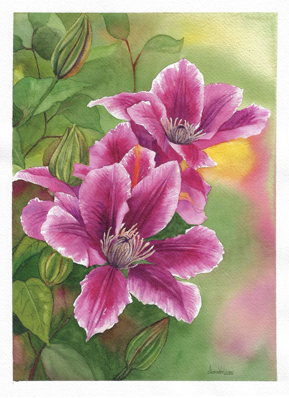 The Clematis and All It’s Glory! - image 1 - student project