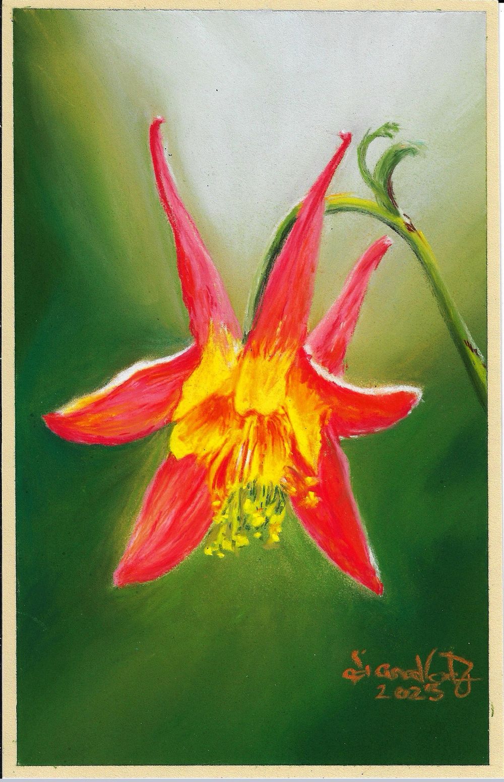 Columbine Flower - image 1 - student project