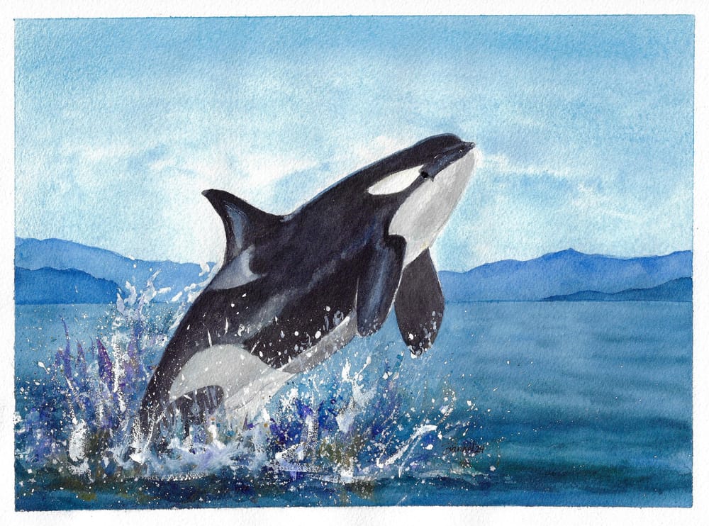 Orca Fun - image 2 - student project