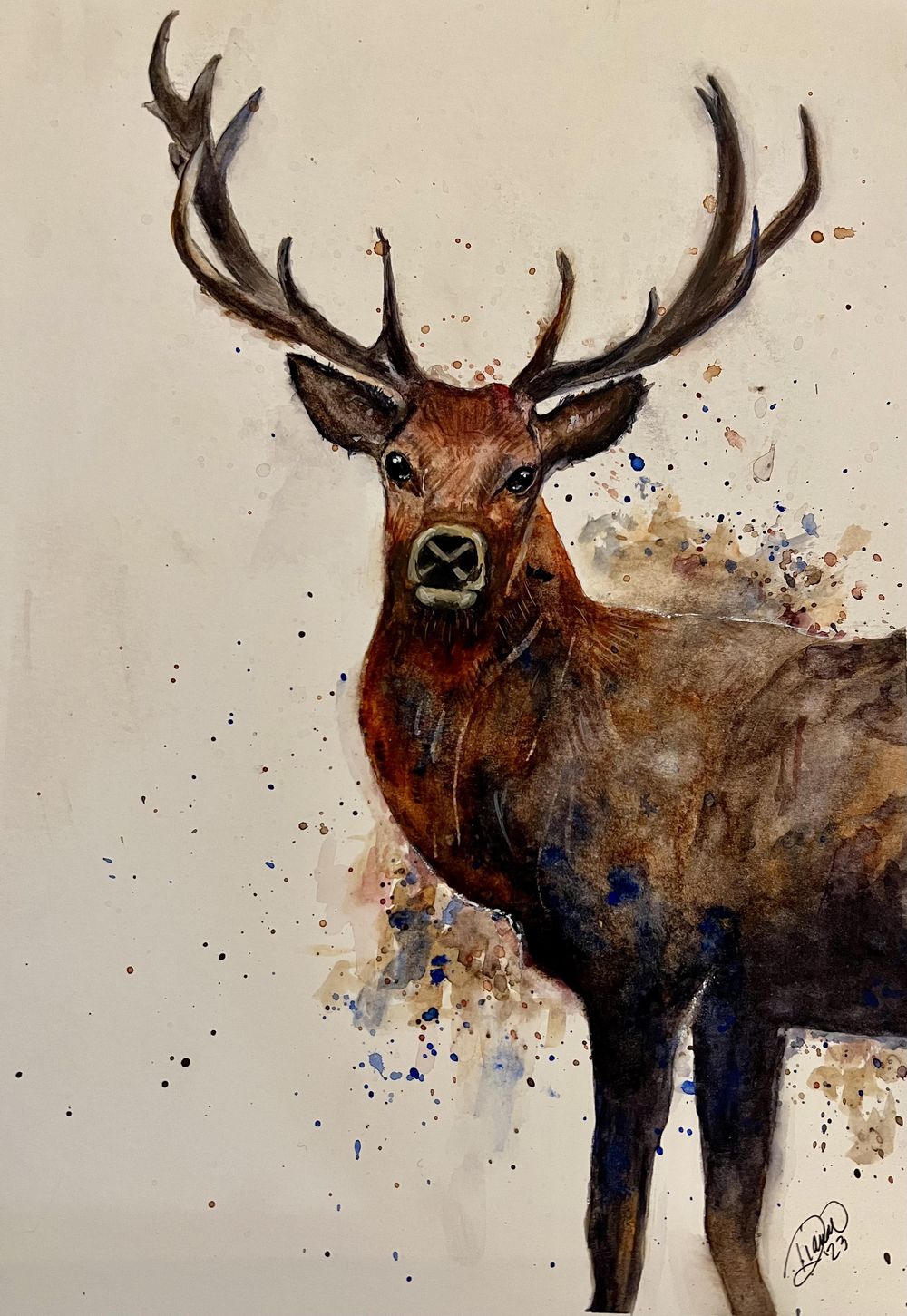 Apprendre à peindre un cerf à l'aquarelle à l'aide de techniques simples,  libres et expressives | Will Elliston | Skillshare, image size:1000x1451