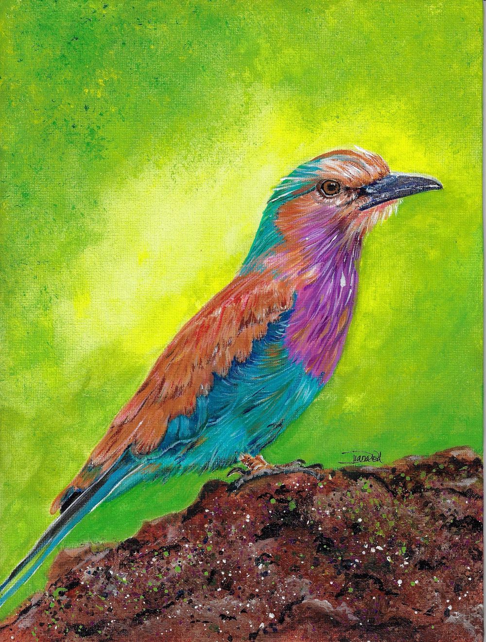 "A Colorful Flight Through Life" - image 1 - student project
