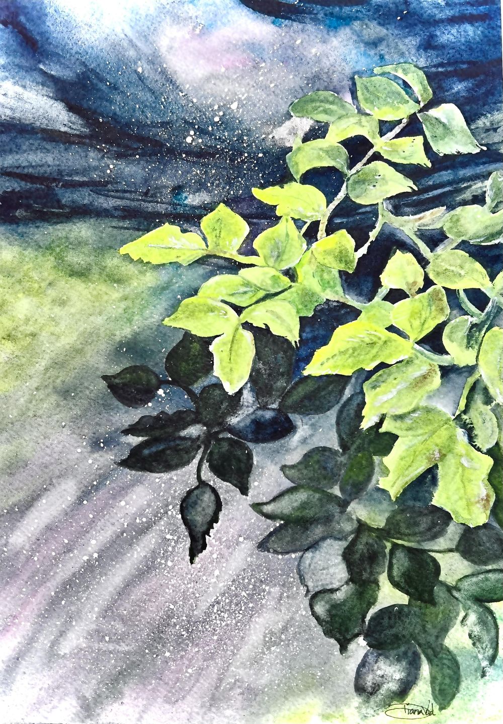 Granulating Shadows - image 1 - student project