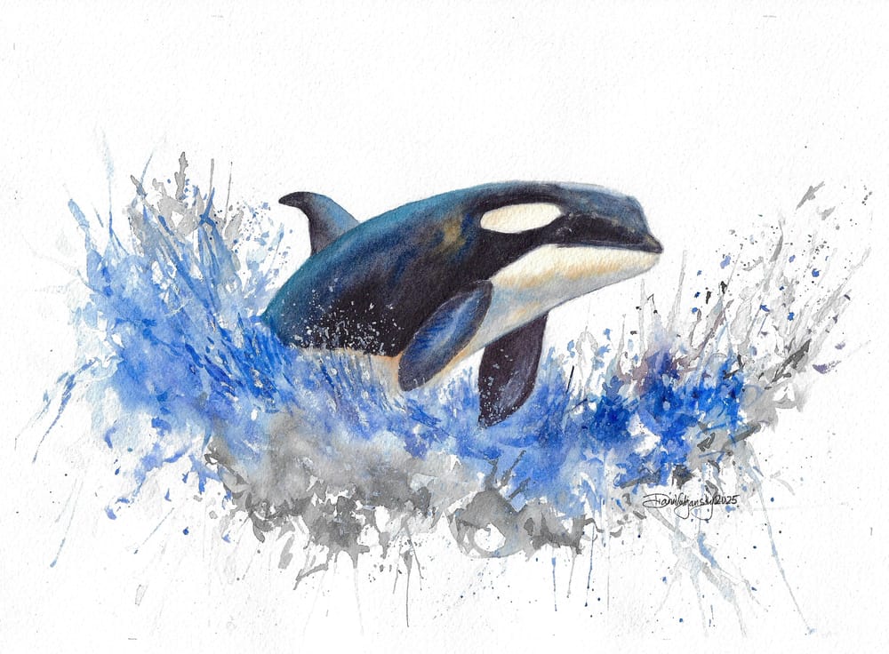 Orca Fun - image 1 - student project
