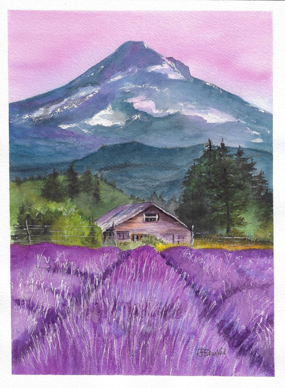 Lavender fields & the majestic Mt. Hood - image 2 - student project