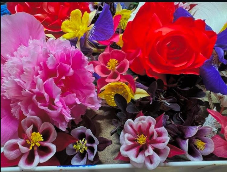 Columbine Flower - image 2 - student project