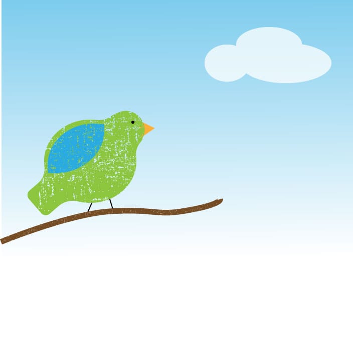 Bird Texture - image 1 - student project