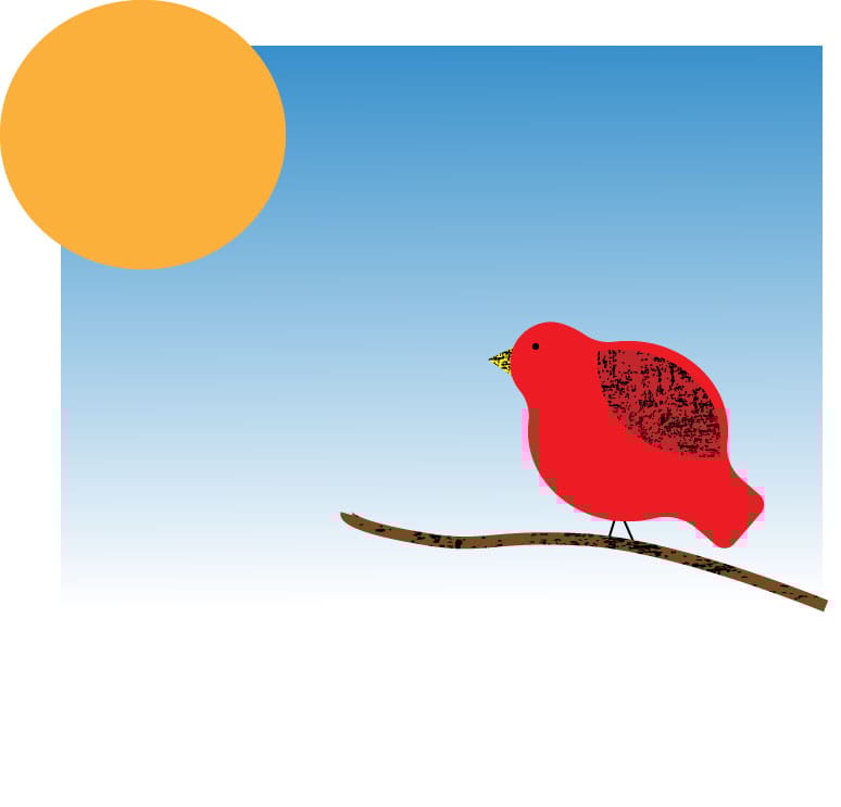 Bird Texture - image 2 - student project