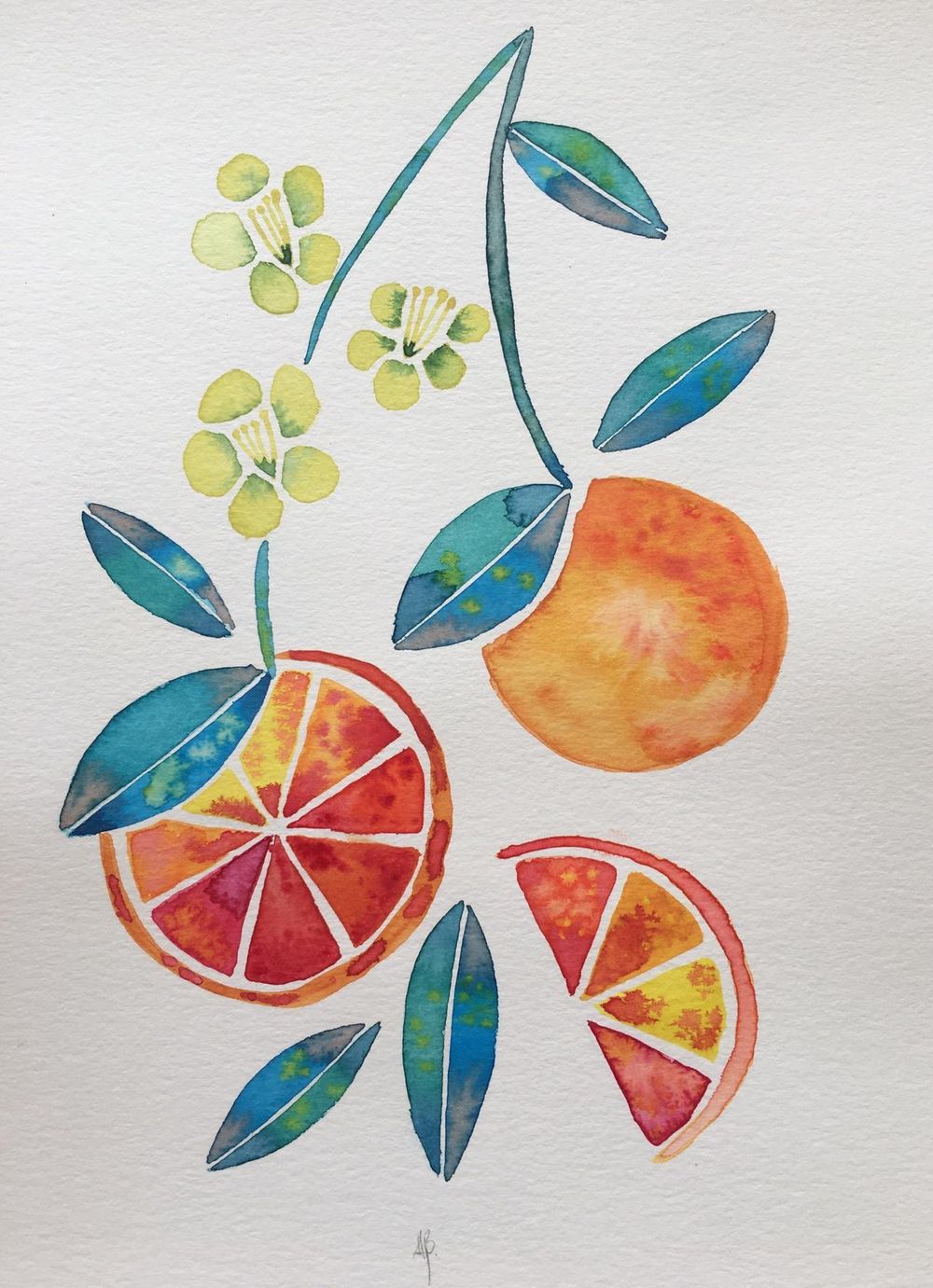 Tropicalia - image 1 - student project