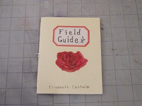 *Sample Project* "Field Guide" - image 1 - student project