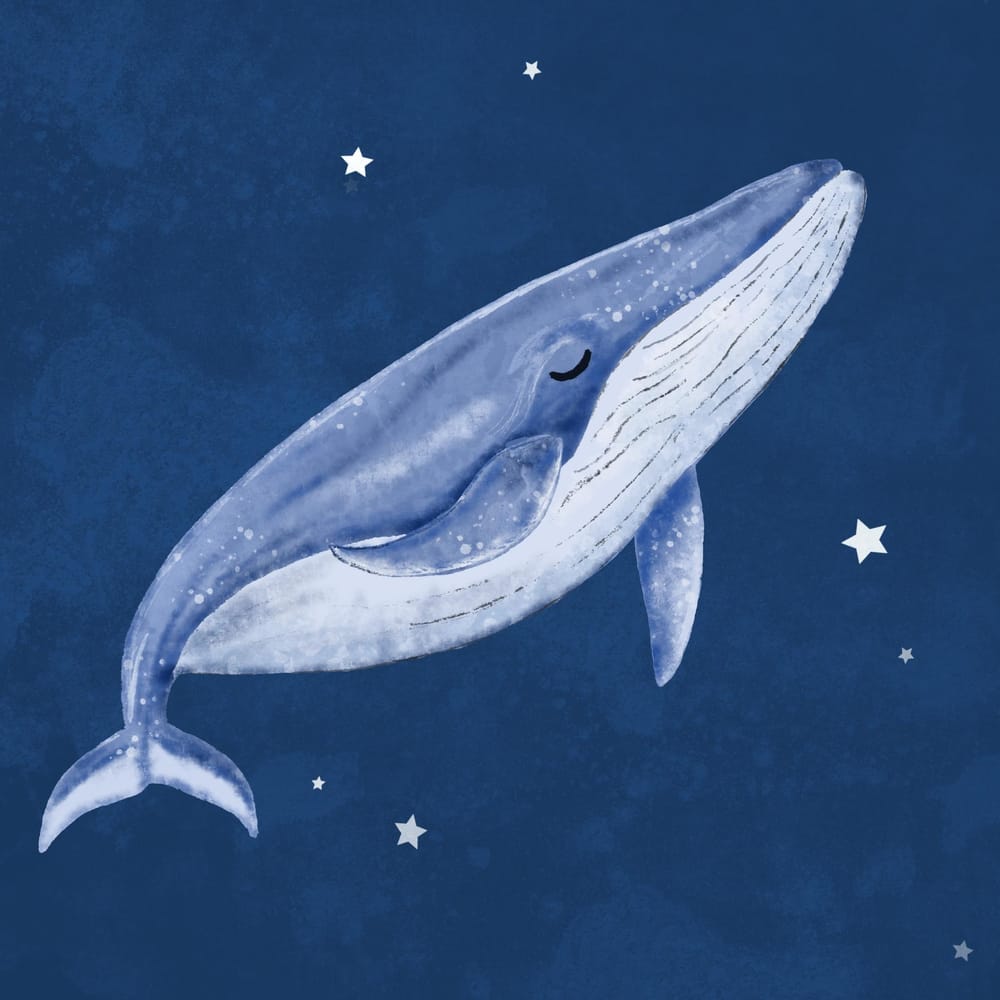 Dreamy Whale - image 1 - student project