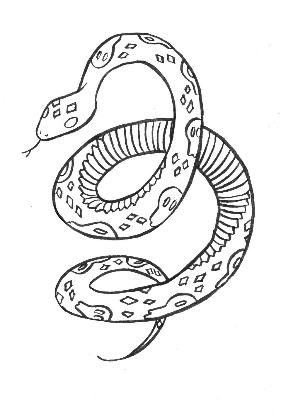 In Case of Snakebite/ Wander & Wonder - image 3 - student project