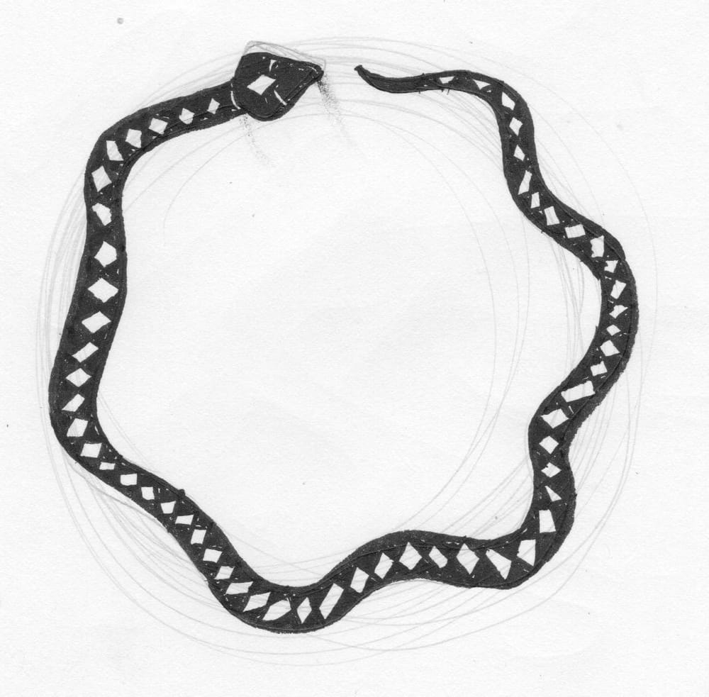 In Case of Snakebite/ Wander & Wonder - image 2 - student project