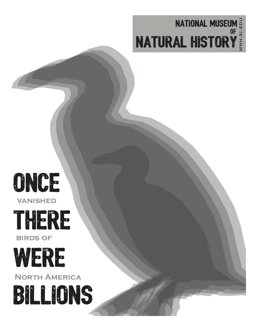 Once There Were Billions - image 2 - student project