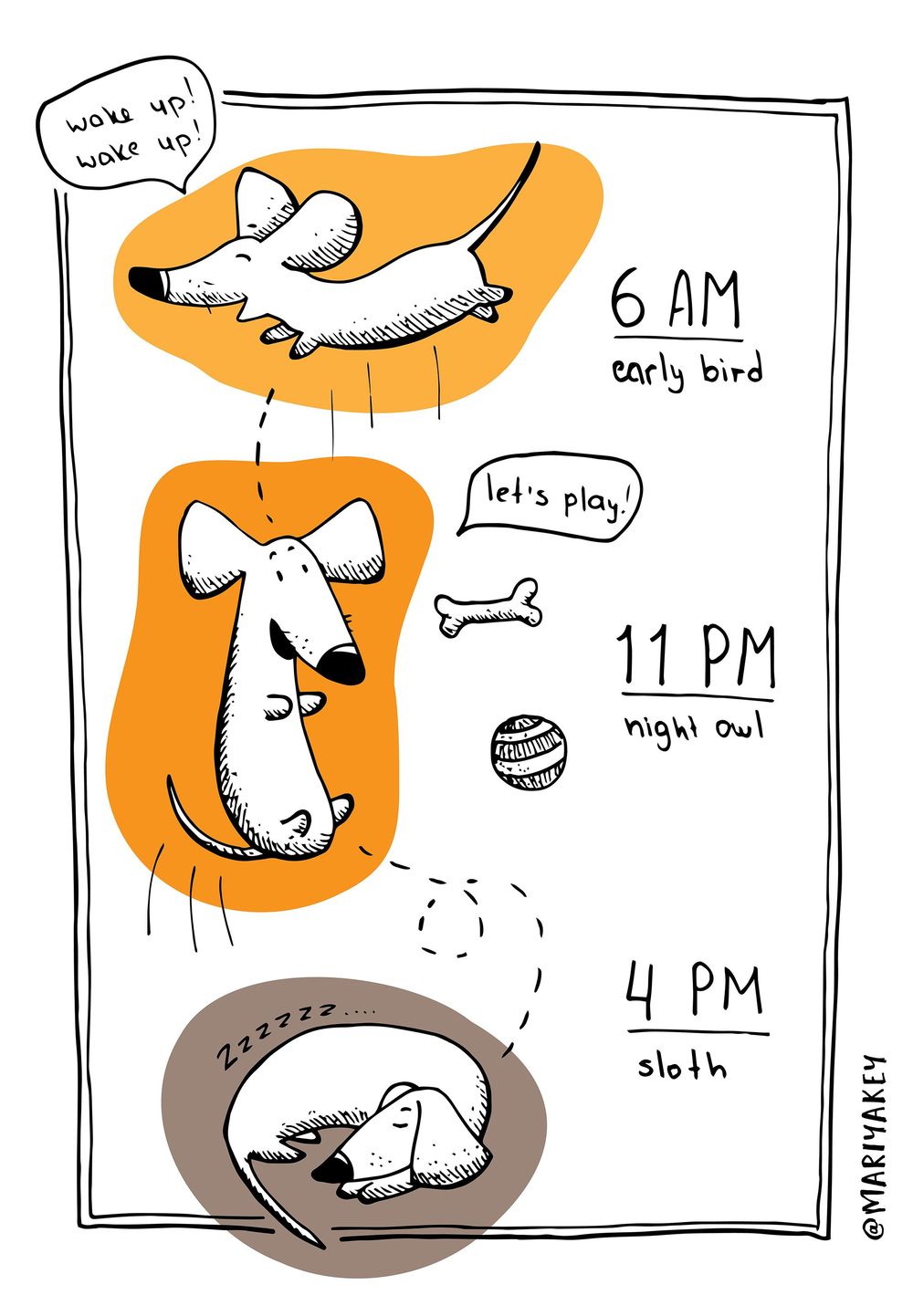 A little bit about my dachshund - image 4 - student project