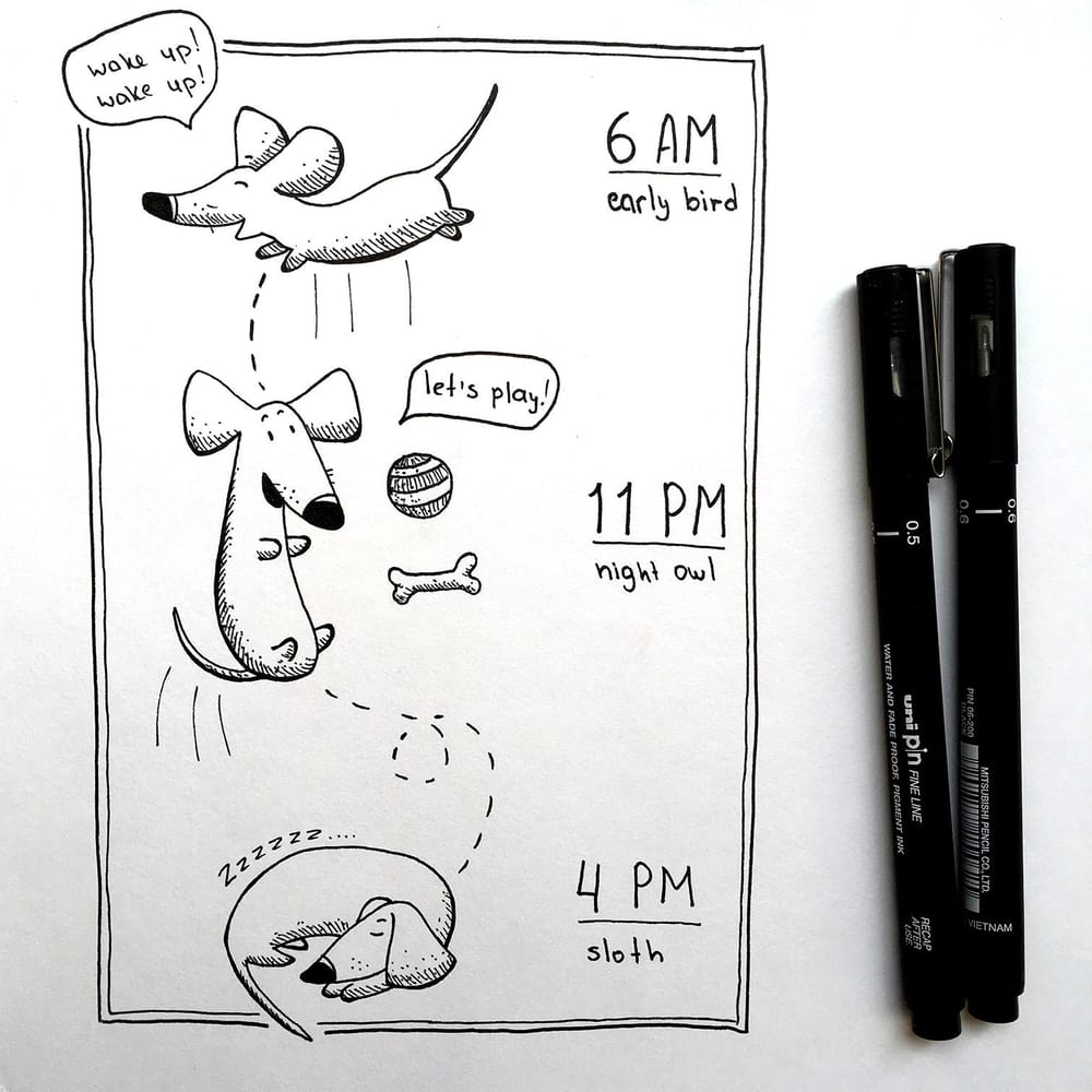A little bit about my dachshund - image 3 - student project