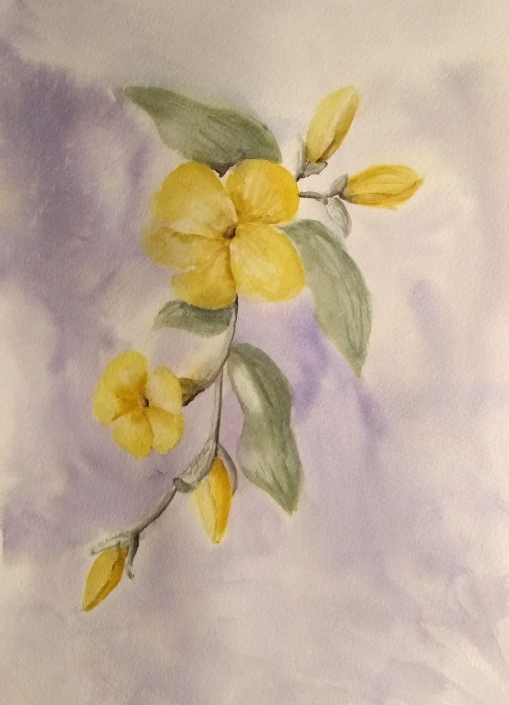 Floral Color Challenge - image 8 - student project