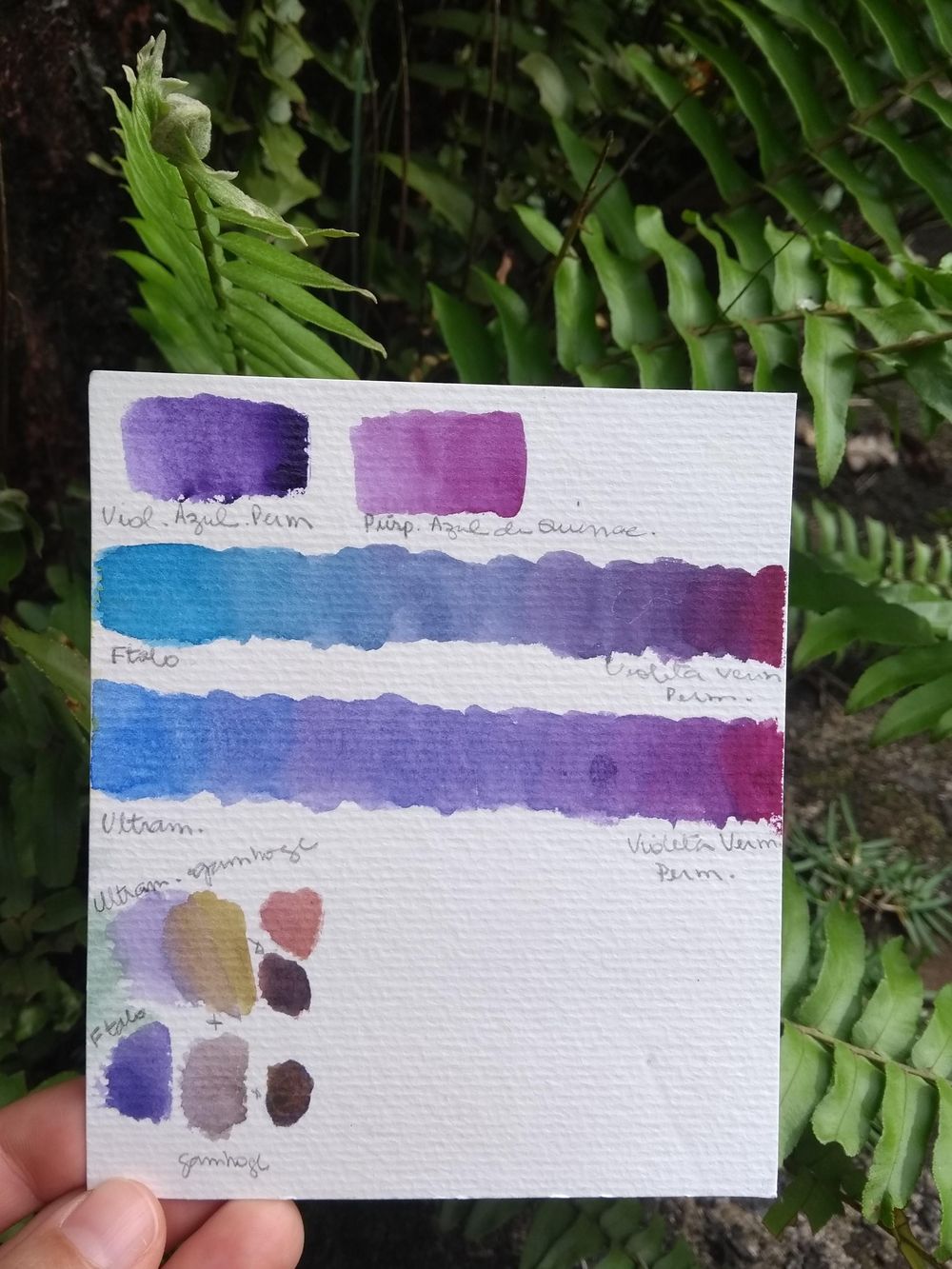 Floral Color Challenge - image 4 - student project