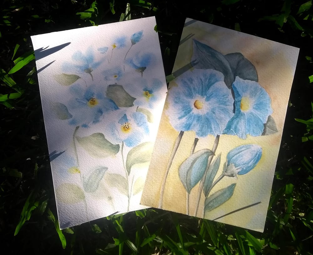 Floral Color Challenge - image 6 - student project