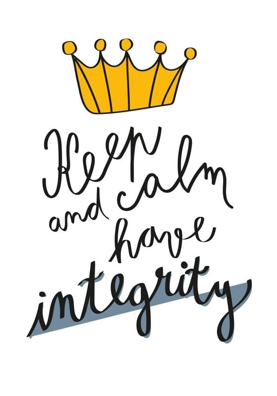 Integrity project - image 4 - student project