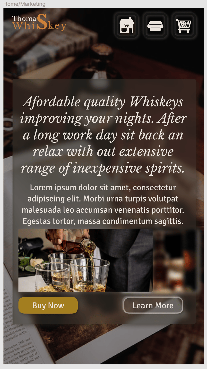Thomas's Whiskeys - image 17 - student project