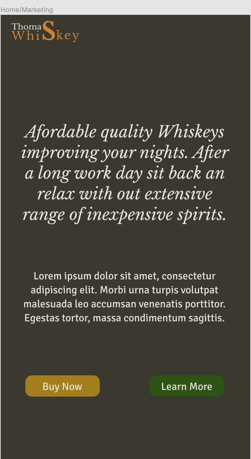 Thomas's Whiskeys - image 10 - student project