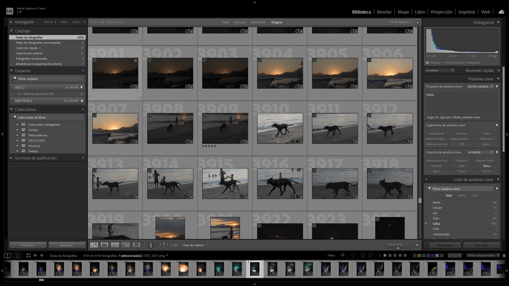 My lightroom organization - image 1 - student project