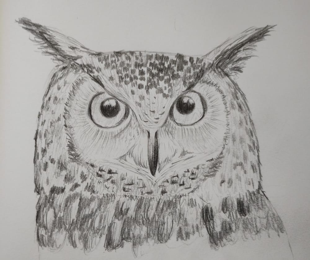 Owl - image 1 - student project