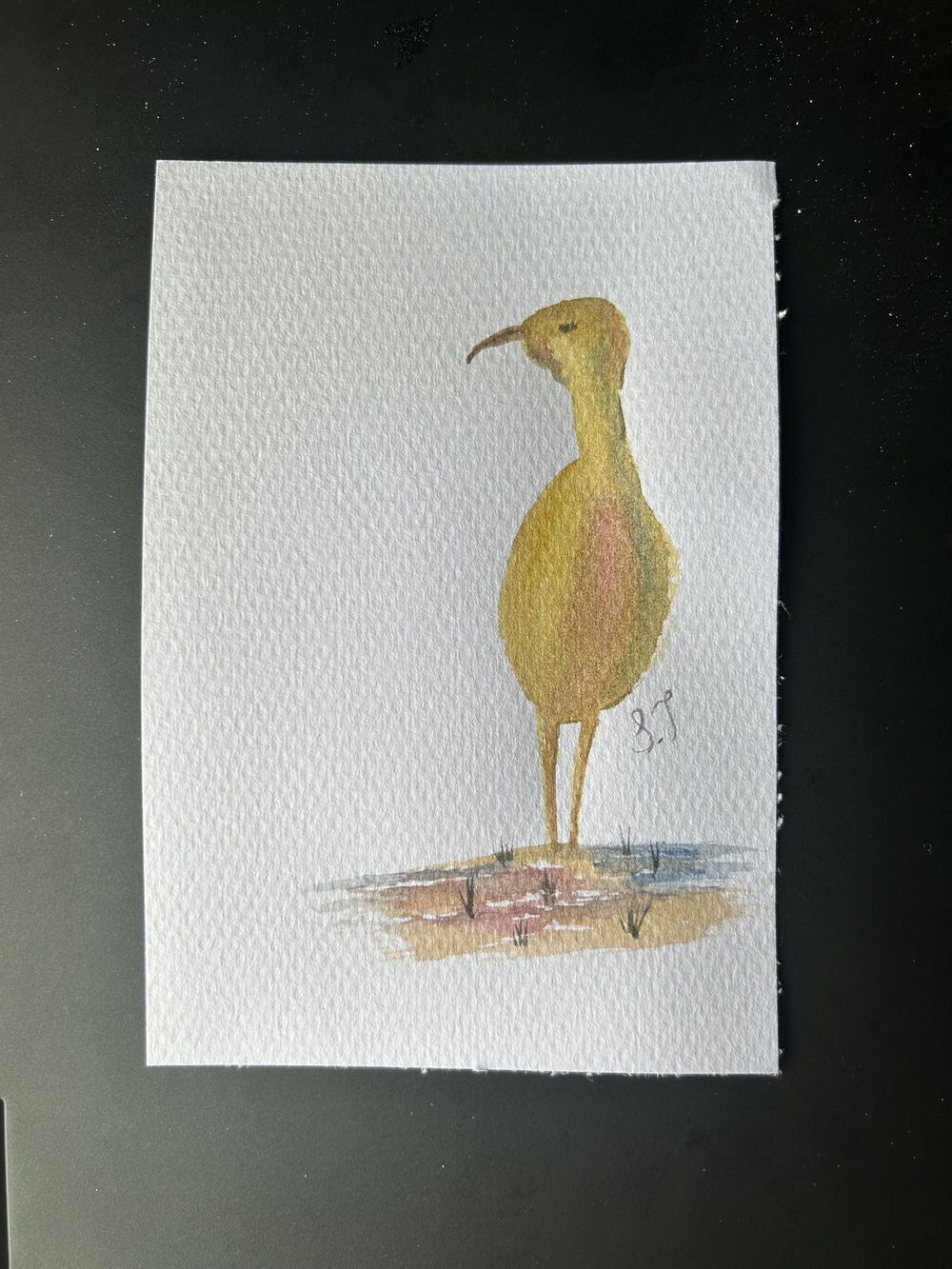 Golden Hour Crane - image 1 - student project