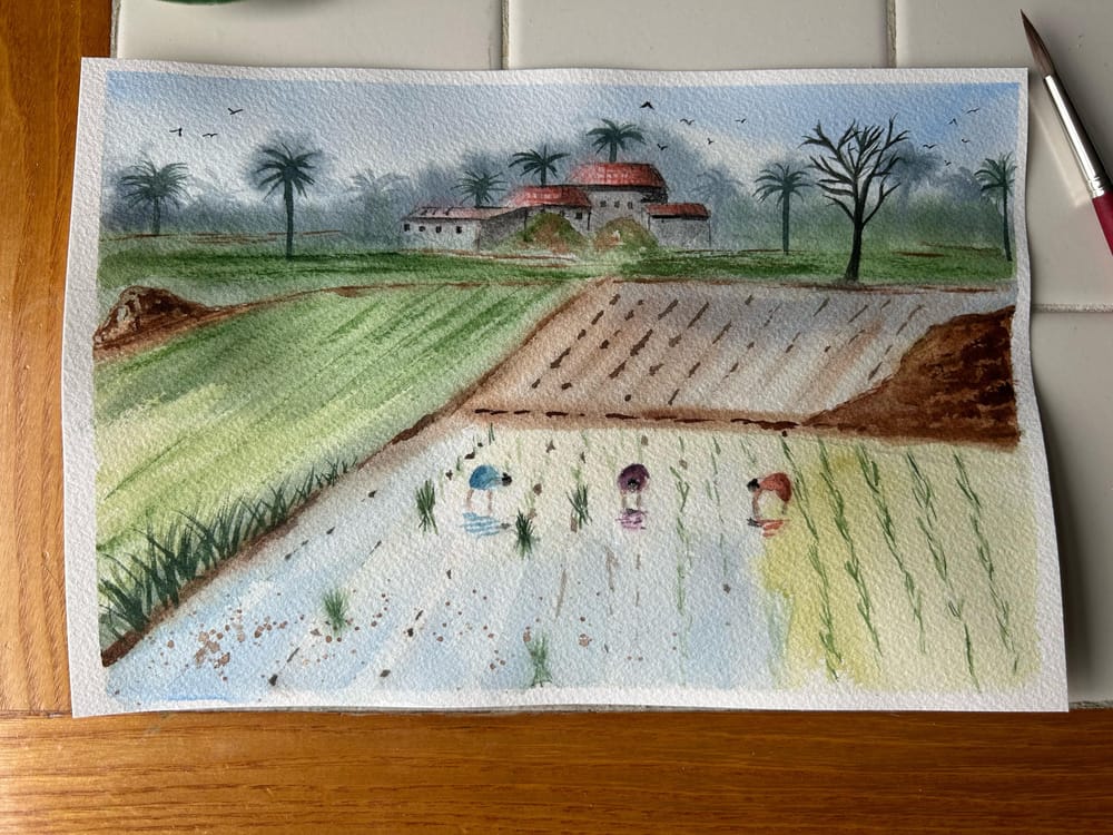 Monsoon Fields - image 1 - student project
