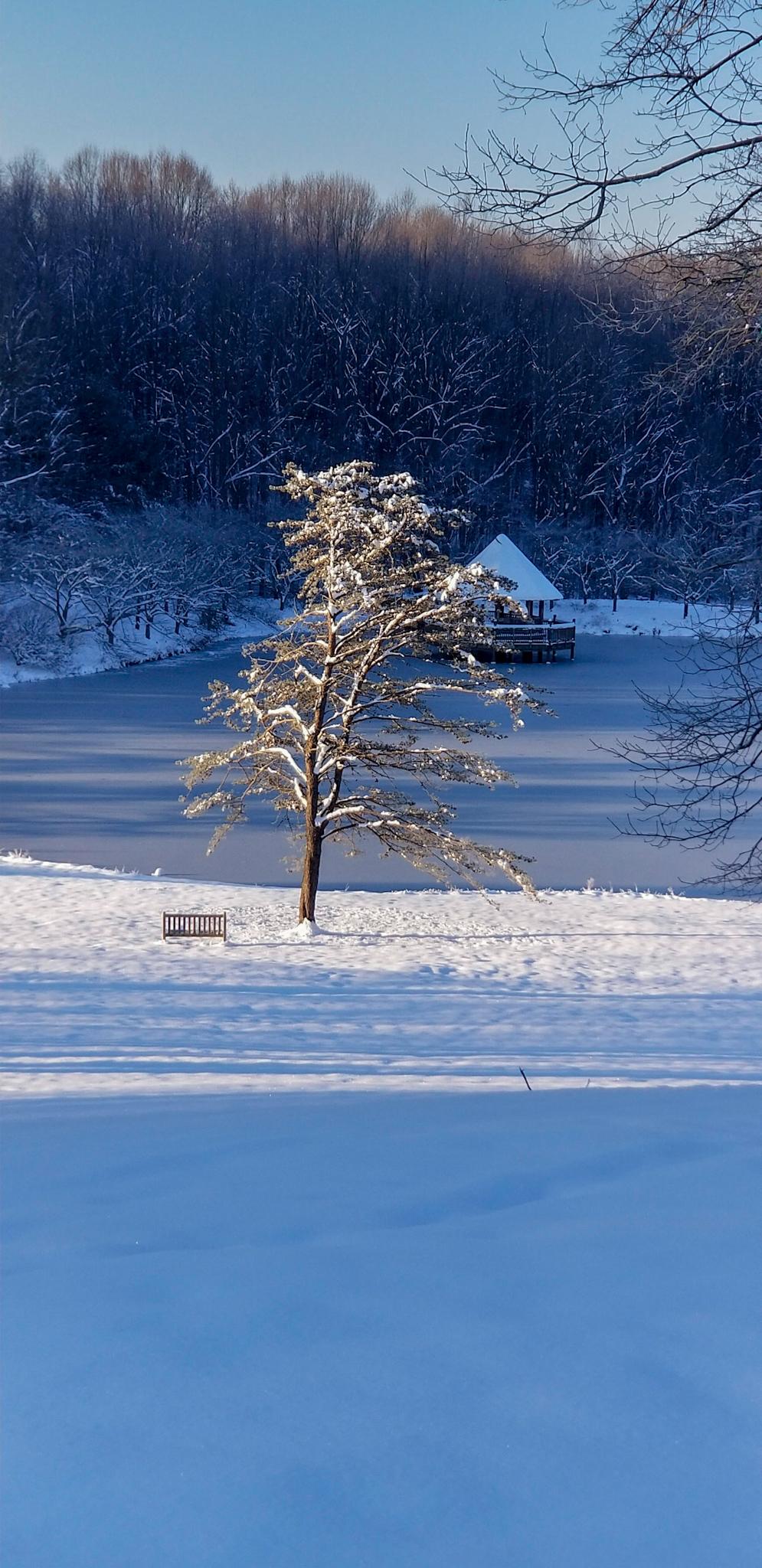 Snow Day - image 3 - student project