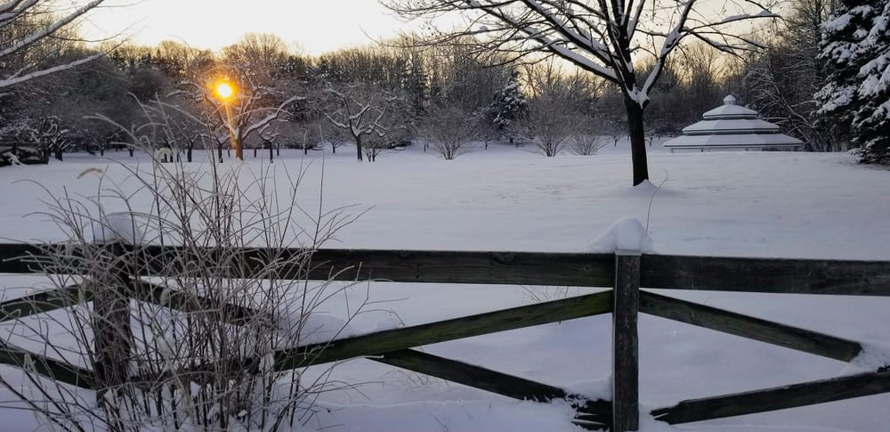 Snow Day - image 1 - student project