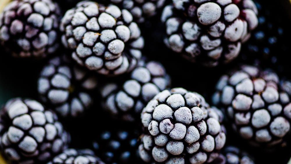 Frosty Blackberries - image 1 - student project