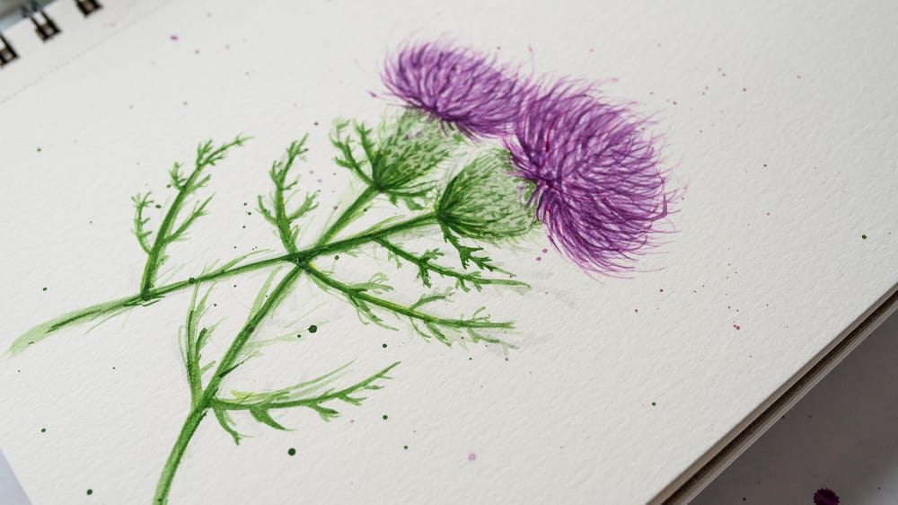 Thistle and Blue - image 4 - student project