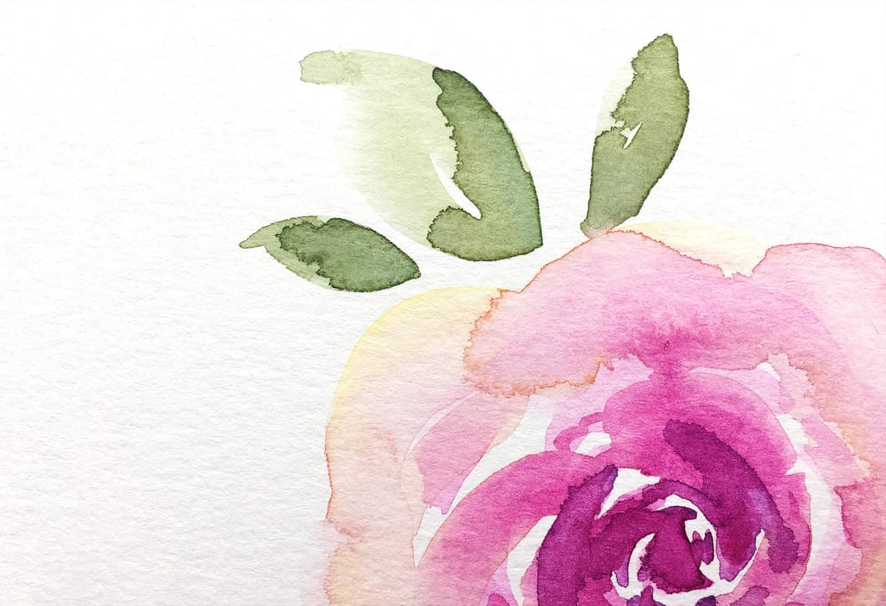 Roses and Rosemary - image 2 - student project