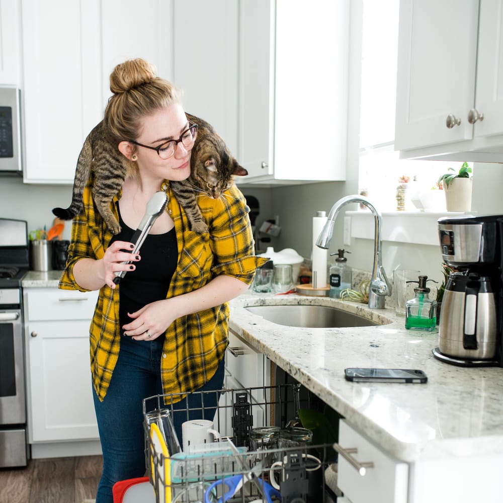 Smallcat + Chores - image 2 - student project