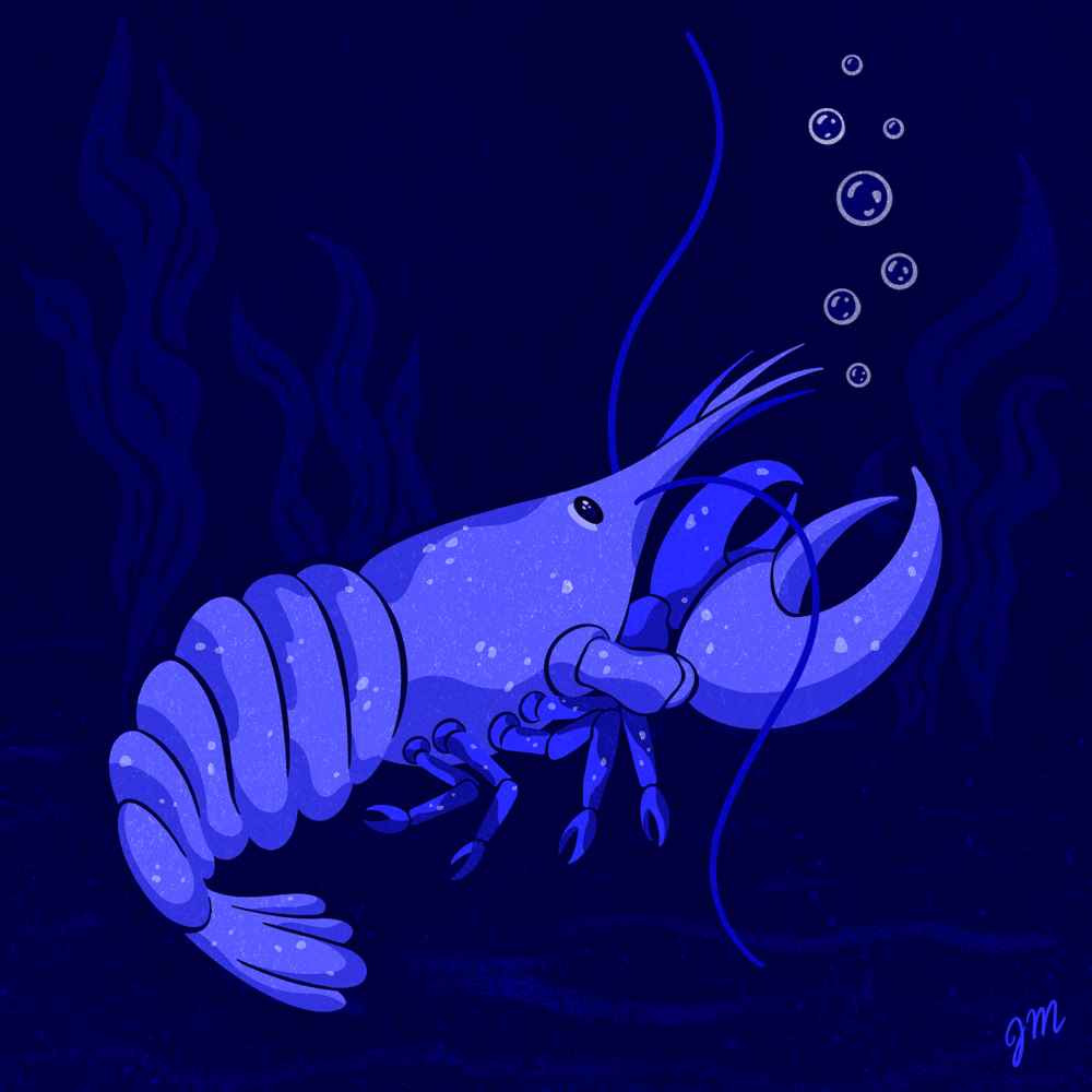 Limited Color Palette Explorations - image 4 - student project