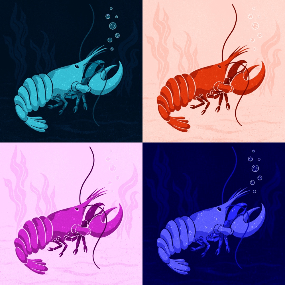 Limited Color Palette Explorations - image 3 - student project