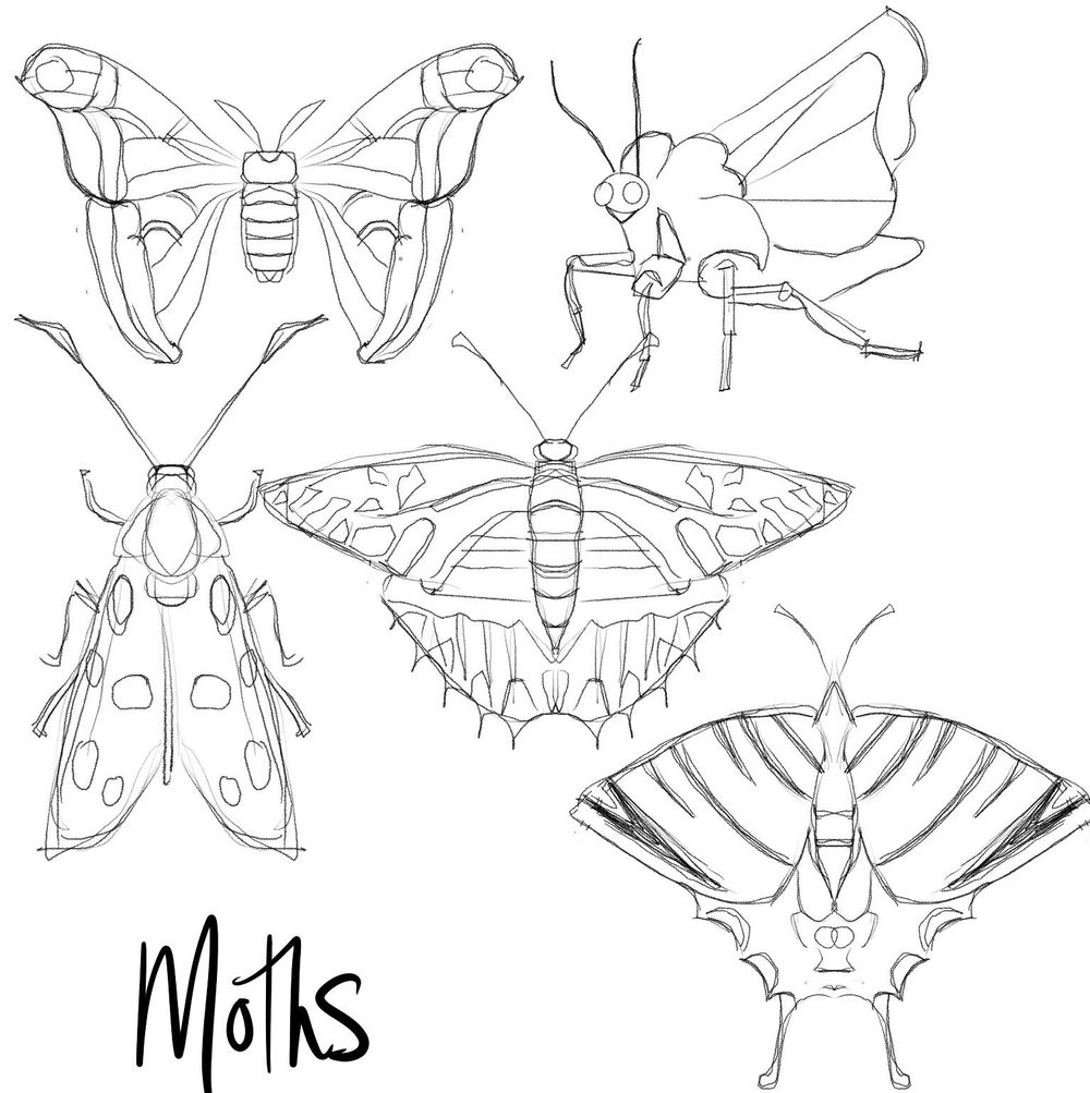 Bugs - image 5 - student project