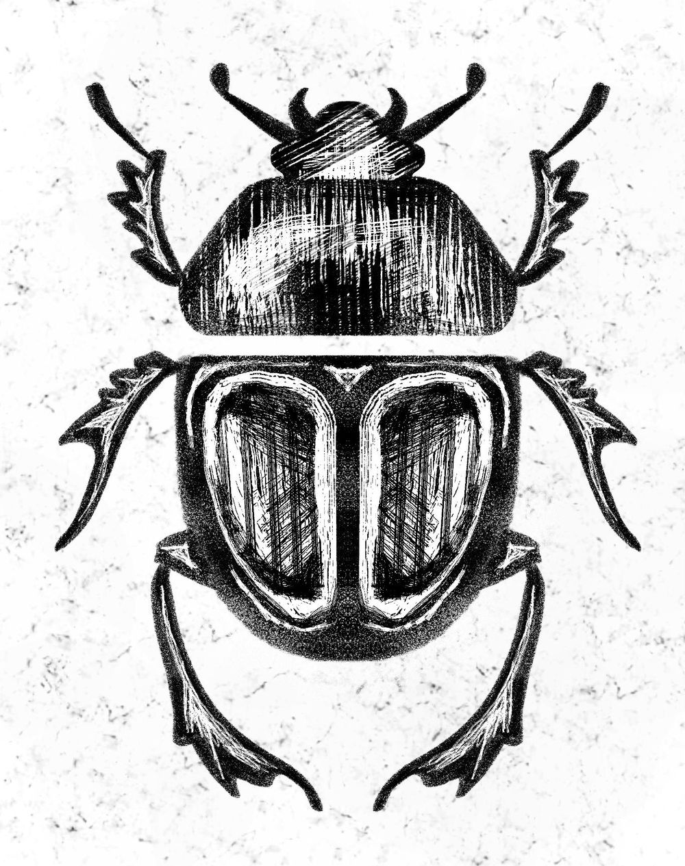 Bugs - image 2 - student project