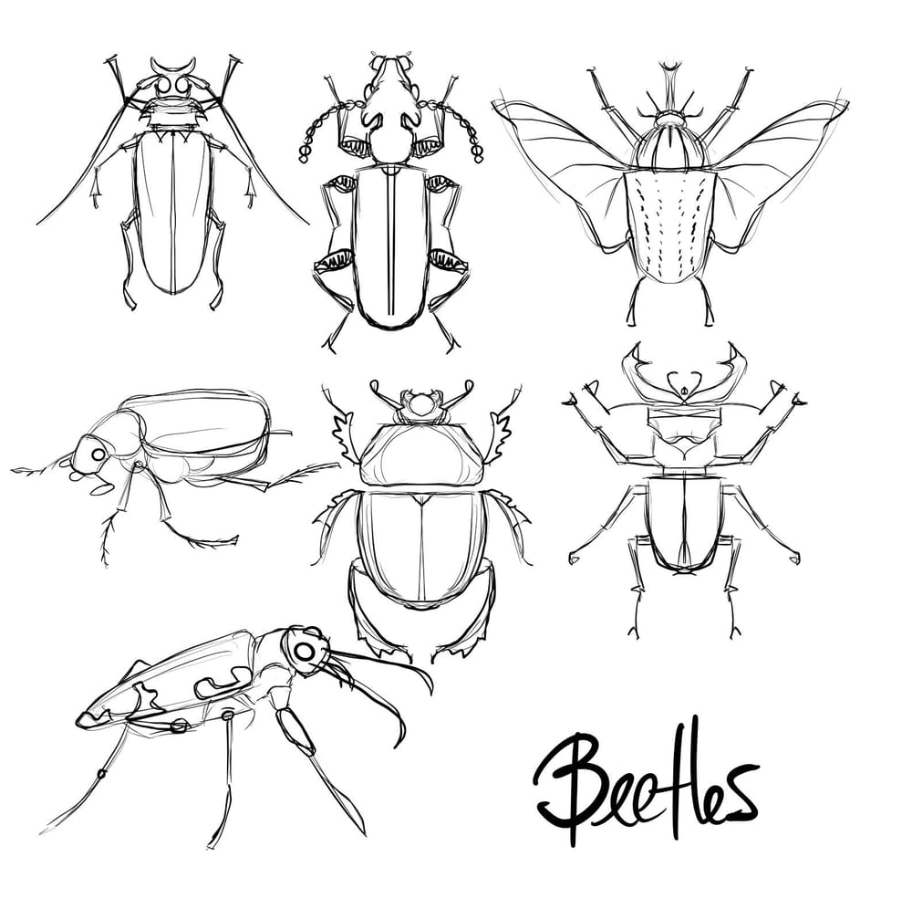 Bugs - image 4 - student project