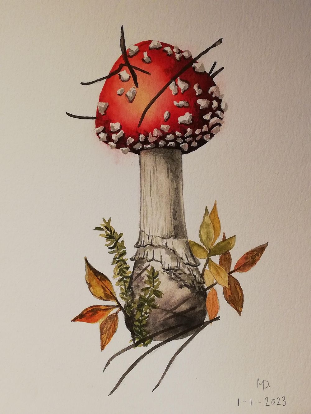 Fly agaric - image 1 - student project